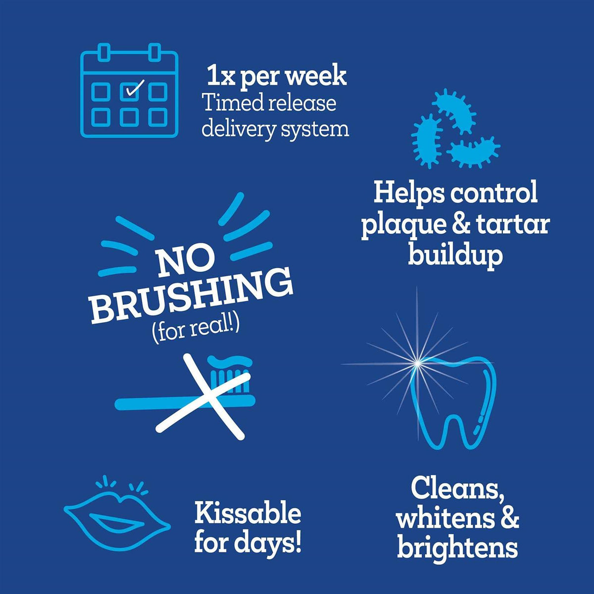 Brush Free Oral Gel for Dogs J1356