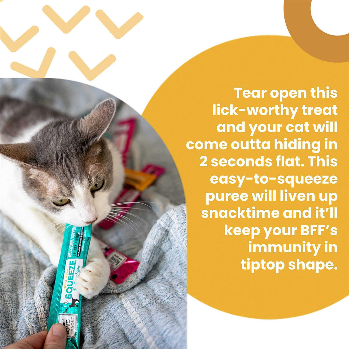 Cat Treat O782