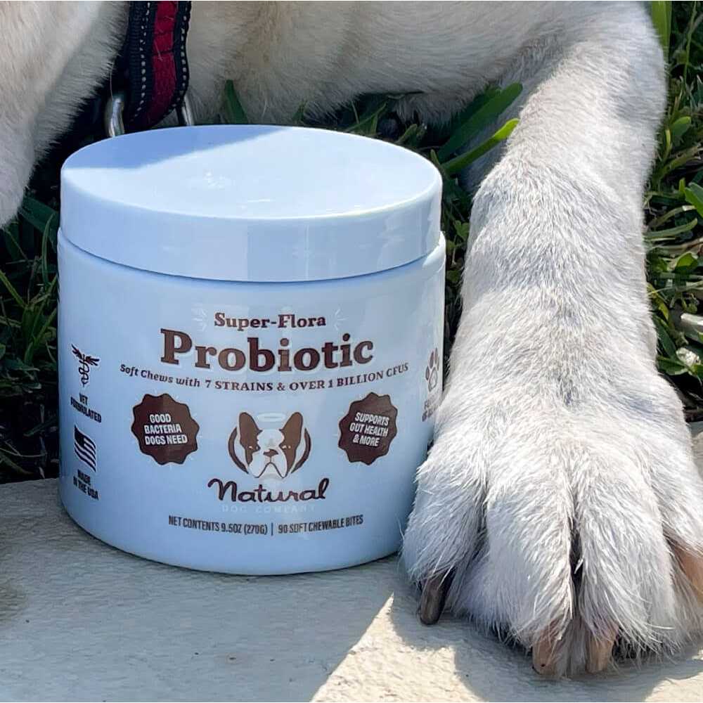 Probiotic Supplement D1634