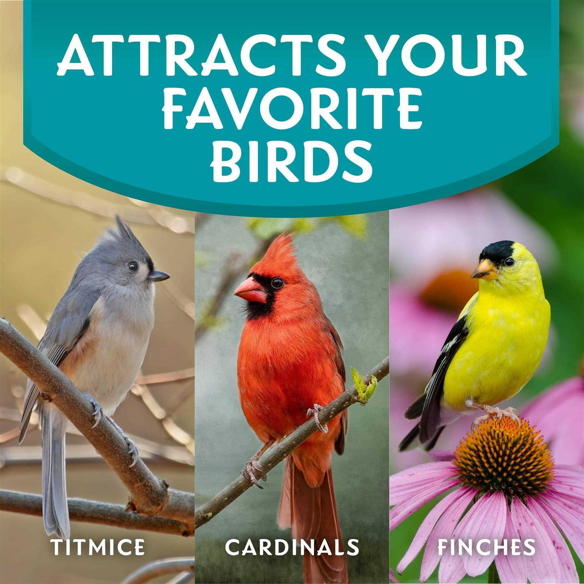 Wild Bird Food A136158
