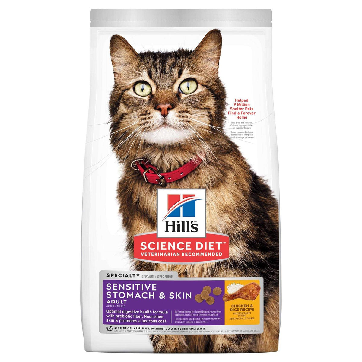 Tender Chicken Dinner Canned Cat Food T54072