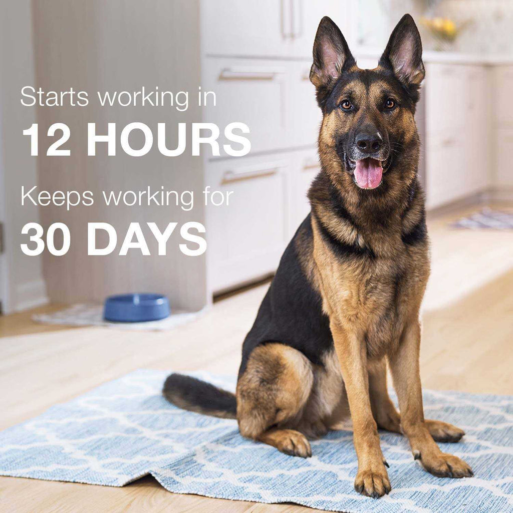 Advantage II for Dogs 3 D506854