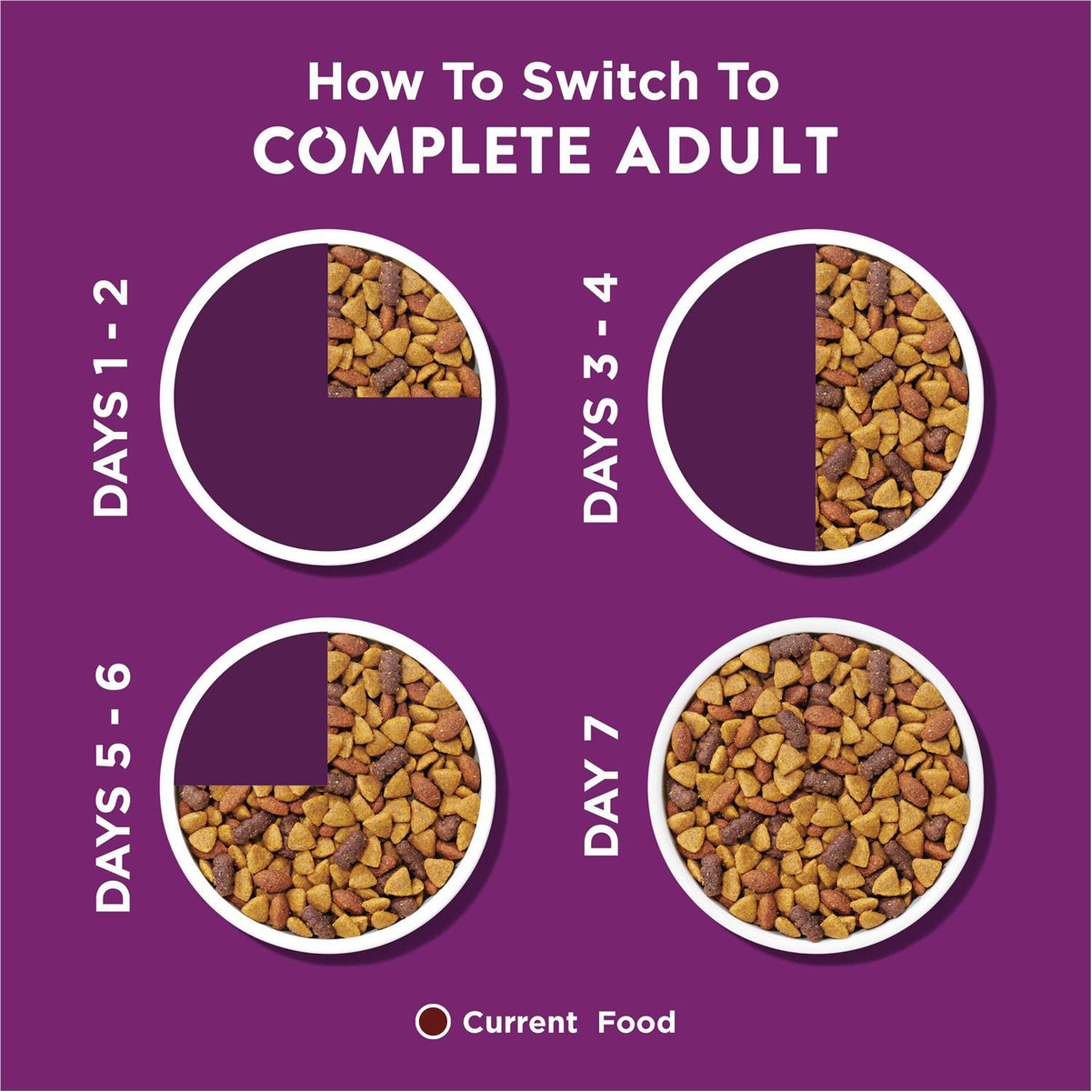 Complete Adult Dry Dog Food N8500