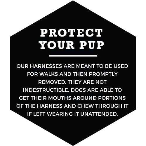 No-Pull Dog Harness M600