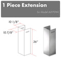 Chimney Extension for 10ft Ceiling Q38968