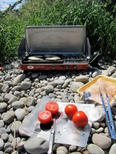 2 Burner Grill Stove Combo W3321