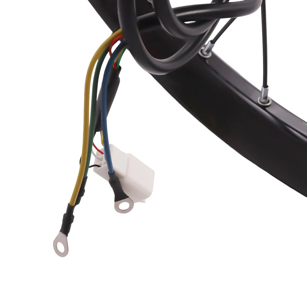 2000W Electric Bike Kit with Display W981