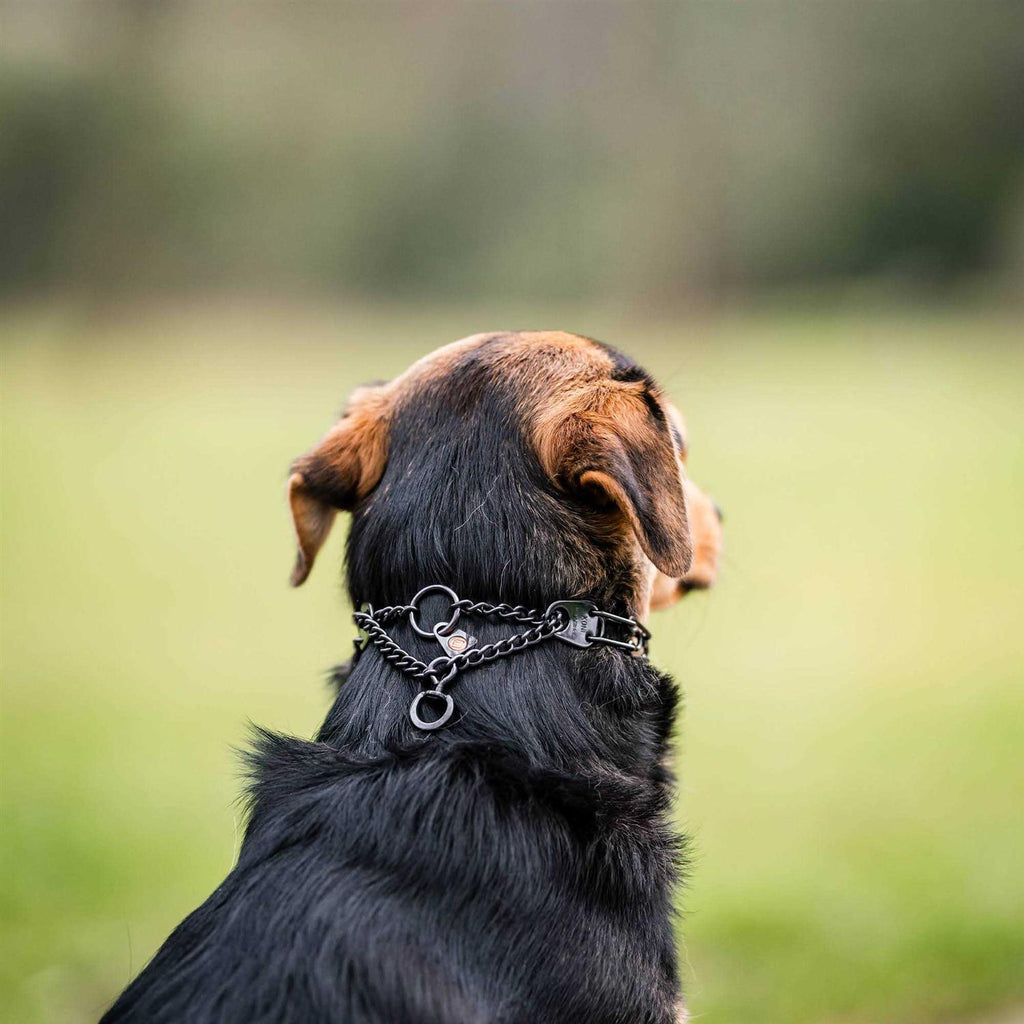 Black Prong Collar S863259