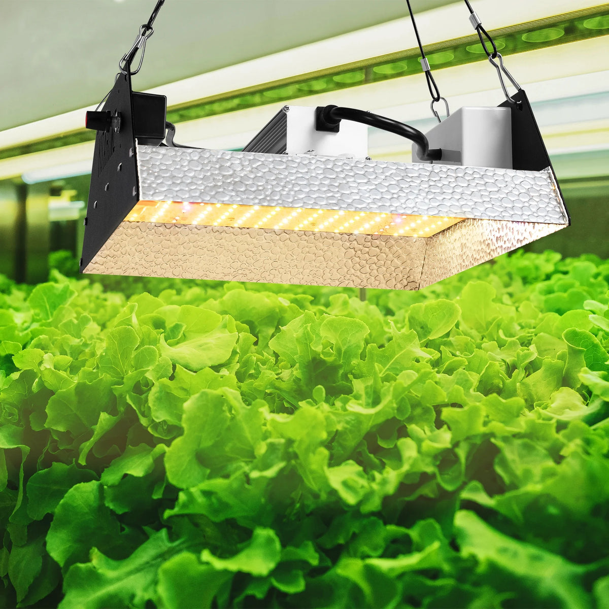 2000W LED Grow Light Full Spectrum Growing Lamp O978133