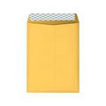 9 x 12 Brown Kraft Catalog Envelopes, 250/Box Z714008