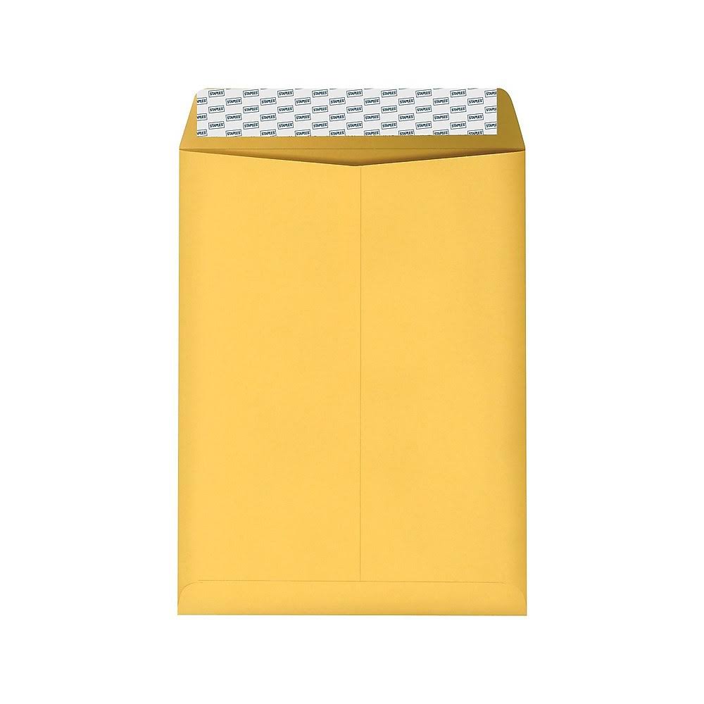 9 x 12 Brown Kraft Catalog Envelopes, 250/Box Z714008