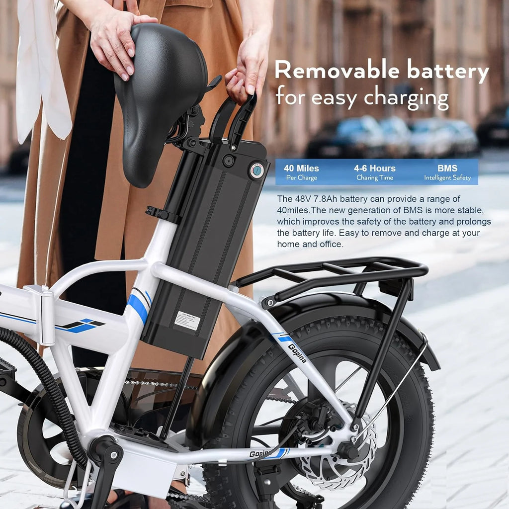 350W Fat Tire Folding Electric Bike D9515