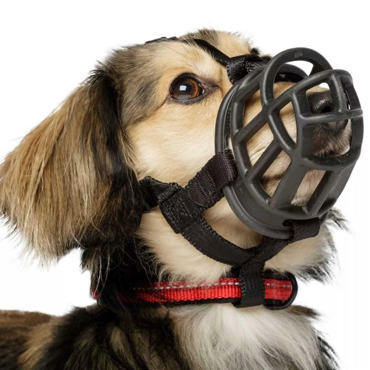 Ultra Muzzle E540
