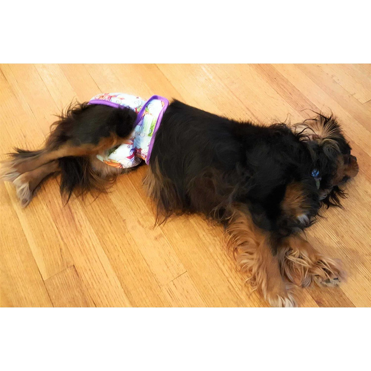 Washable Reusable Dog Diapers C33769