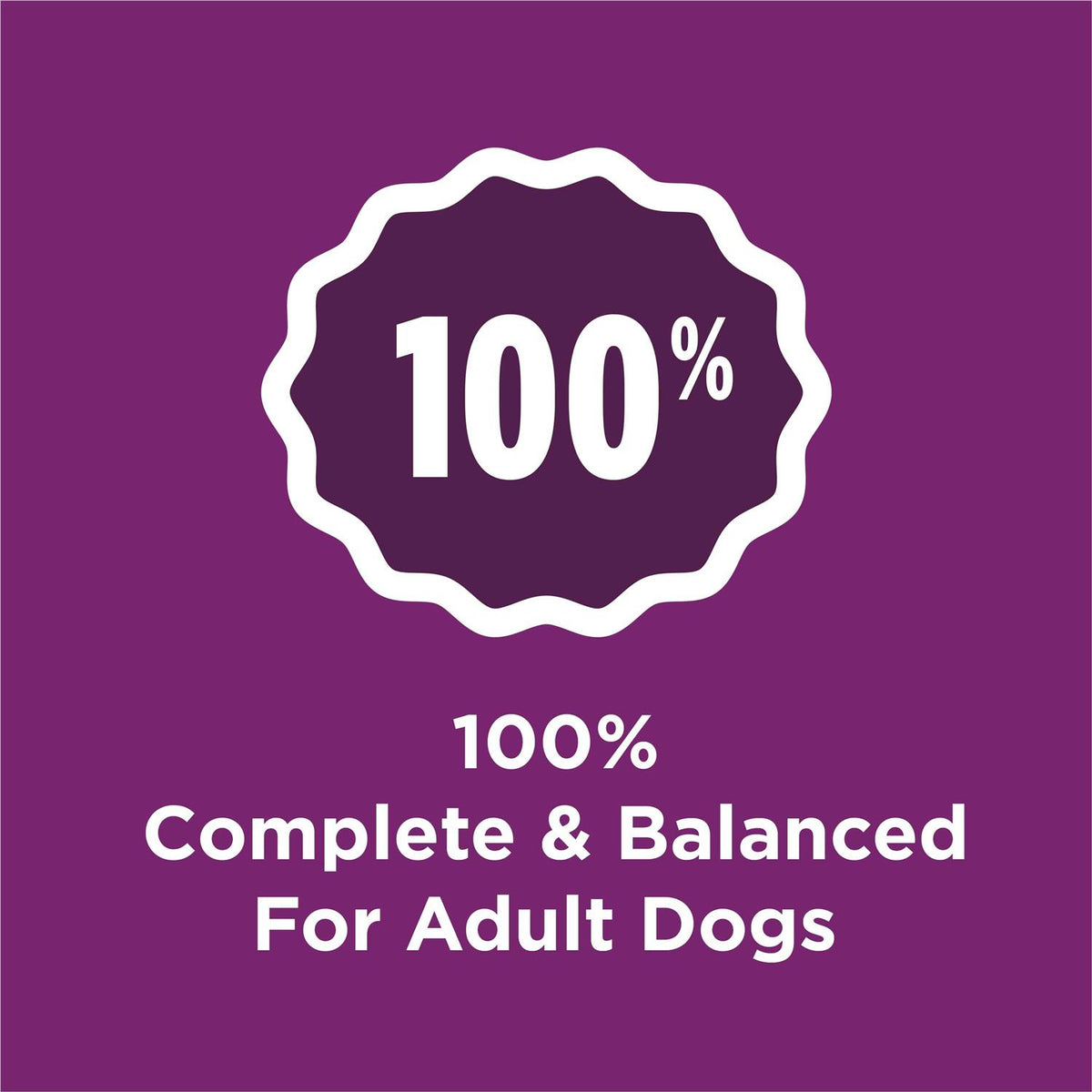 Complete Adult Dry Dog Food N8500