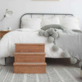 Yorkshire Pet Step with Storage T694