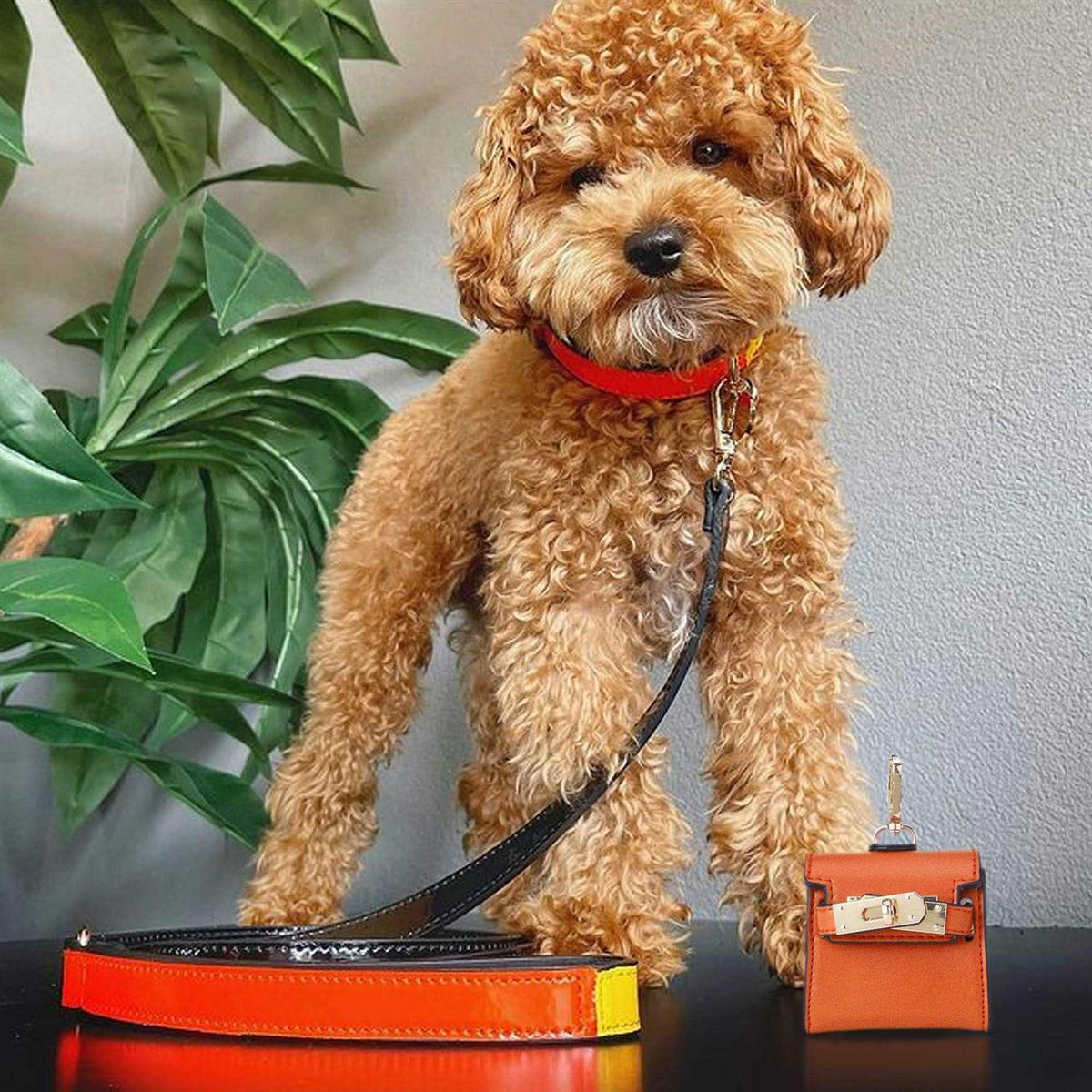 Poop Bag Dispenser A945