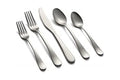 20 Piece Satin Flatware Set D319